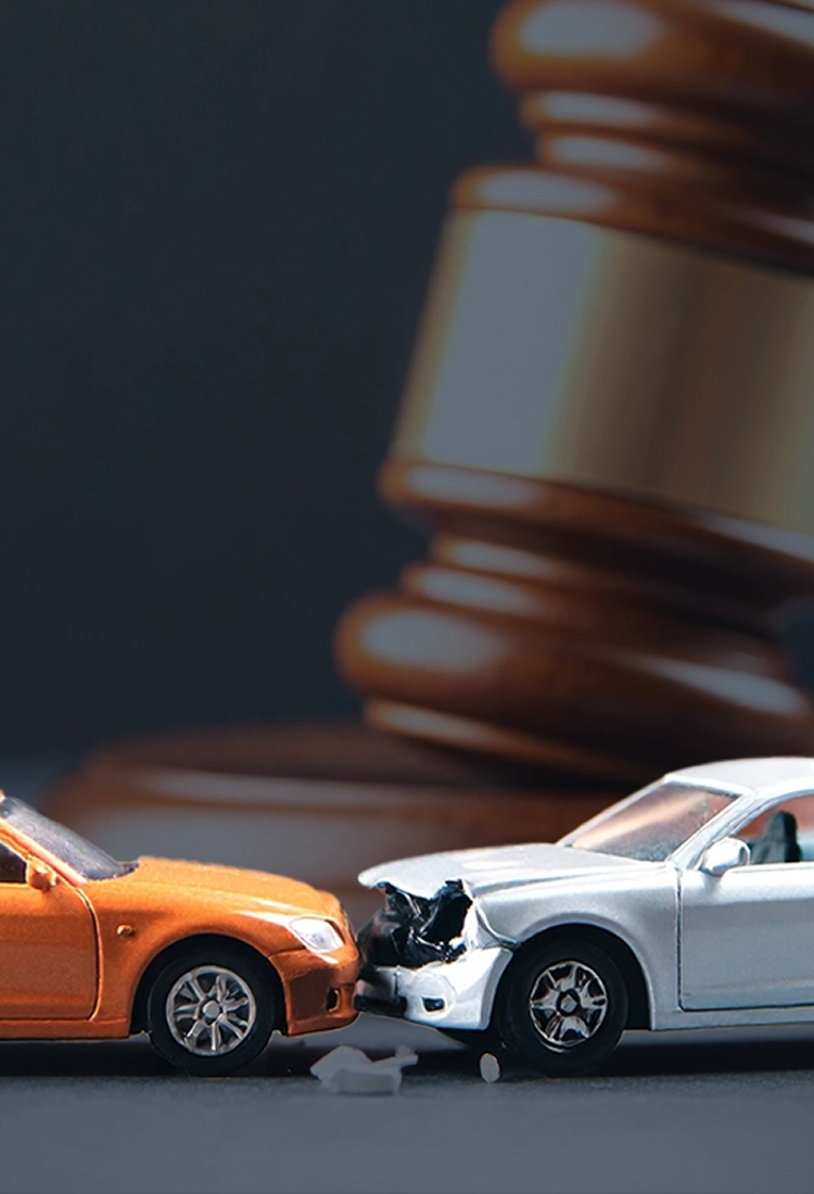 메인 배경 이미지